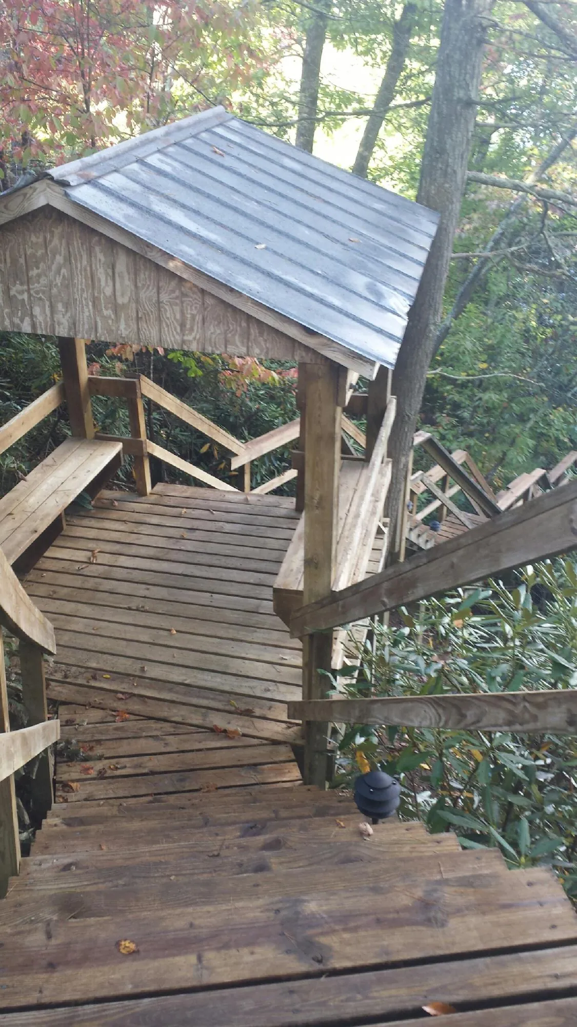 Metal roofed shelter over wooden steps on a wooded walkway — Skylight Repair & Installation work by our crew in Winthrop